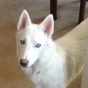 Meet your Posher, Regina